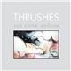 Thrushes - Sun Come Undone