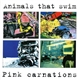 Animals That Swim - Pink Carnations