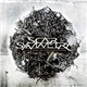 Scar Symmetry - Dark Matter Dimensions