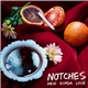 Notches - New Kinda Love