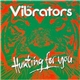 The Vibrators - Hunting For You