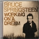 Bruce Springsteen - Working On A Dream