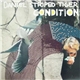 Daniel Striped Tiger - Condition