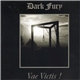 Dark Fury - Vae Victis!