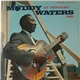 Muddy Waters - Muddy Waters At Newport 1960