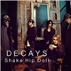 DECAYS - Shake Hip Doll