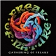 Freak Of Nature - Gathering Of Freaks