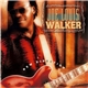 Joe Louis Walker - New Direction