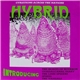 Various - Hybrid (Gyrations Across The Nations)